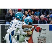 Massachusetts Pirates quarterback Kenji Bahar hands off