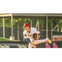 Wisconsin Timber Rattlers pitcher Tyson Hardin