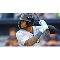Xavier Isaac of the Montgomery Biscuits at bat