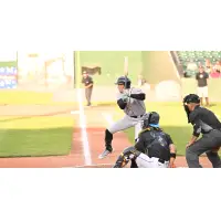 Troy Viola of the Long Island Ducks at bat