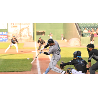 Long Island Ducks outfielder River Town