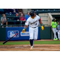 Tri-City Dust Devils outfielder Randy De Jesus watches his home run