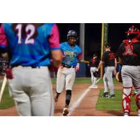 Pensacola Blue Wahoos as the Pensacola Mullets