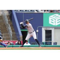 Somerset Patriots' Rafael Flores on game night