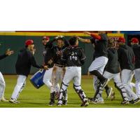 Hickory Crawdads mob Yeremy Cabrera after his walk-off hit