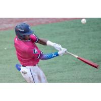 Pensacola Blue Wahoos at the plate