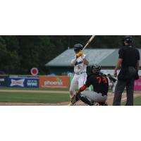 Myrtle Beach Pelicans shortstop Yahil Melendez at bat