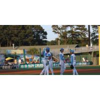 Myrtle Beach Pelicans exchange handshakes after a win in game one