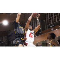 Calgary Surge take it to the hoop against the Brampton Honey Badgers