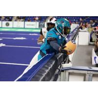 Massachusetts Pirates up against the boars vs. the Jacksonville Sharks