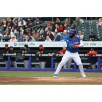 Jon Singleton at bat for the Syracuse Mets