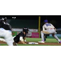 Myrtle Beach Pelicans vs. the Augusta GreenJackets