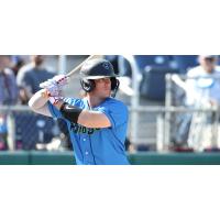 Everett AquaSox catcher Andrew Miller