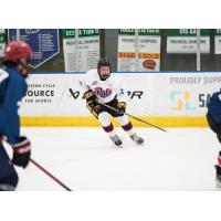 Regina Pats forward Logan Henry