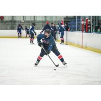 Regina Pats defenceman Cruz Nicolay