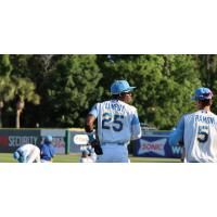 Myrtle Beach Pelicans outfielder Alexey Lumpuy and infielder Eriandys Ramon
