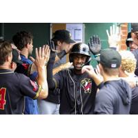 Rome Emperors congratulate E.J. Exposito after his home run
