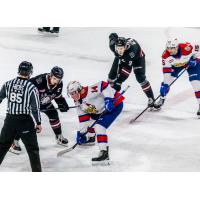 Red Deer Rebels vs. the Edmonton Oil Kings