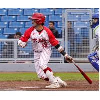 Ottawa Titans infielder Jeremy Piatkiewicz