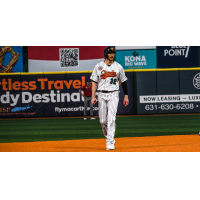 Long Island Ducks outfielder Taylor Kohlwey