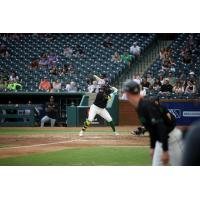 Greensboro Grasshoppers infielder Omar Alfonzo at bat