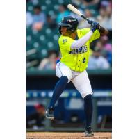 Derlin Figueroa of the Columbia Fireflies at bat