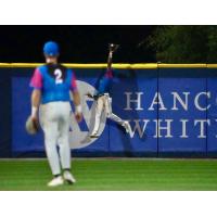 Pensacola Blue Wahoos left fielder Dalvy Rosario robs a home run