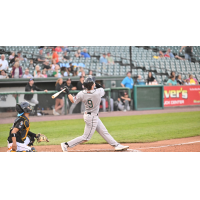 Long Island Ducks' Chris Roller in action