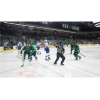 Texas Stars and Abbotsford Canucks on the ice