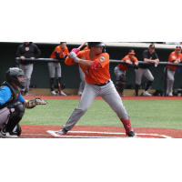 Long Island Ducks at the plate