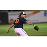 Down East Bird Dawgs' Nate Lamb in action