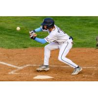 St. Cloud Rox' Tanner Recchio at bat