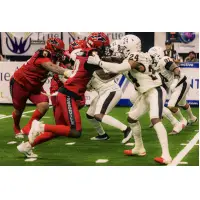 Jacksonville Sharks battle the Arizona Rattlers