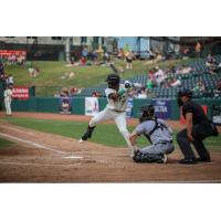 Greensboro Grasshoppers outfielder Shalin Polanco at bat