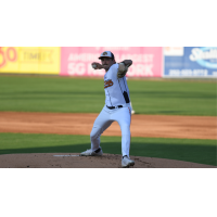 Down East Bird Dawgs deliver a pitch