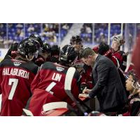 Vancouver Giants Associate Coach Adam Maglio