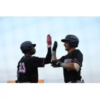Pensacola Blue Wahoos exchange high fives