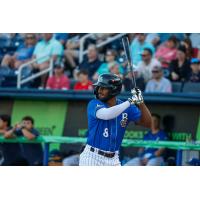 Biloxi Shuckers catcher Zavier Warren