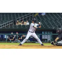 Montgomery Biscuits catcher Tatem Levins
