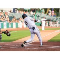 Charleston RiverDogs outfielder Theo Gillen