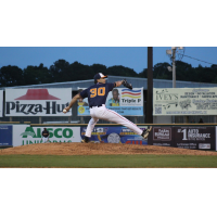 Down East Bird Dawgs pitcher Zach Grace