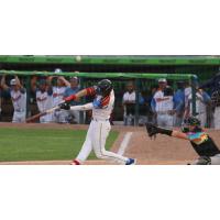Myrtle Beach Pelicans at bat