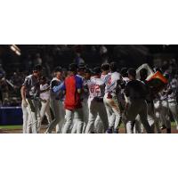 Myrtle Beach Pelicans celebrate a walk-off win
