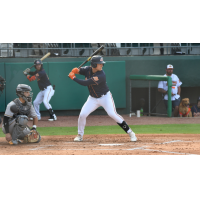 Down East Bird Dawgs at bat
