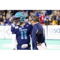 Massachusetts Pirates quarterback Kenji Bahar