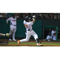 Down East Bird Dawgs first baseman Yassel Pino