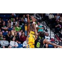 Edmonton Stingers put up a shot against the Niagara River Lions