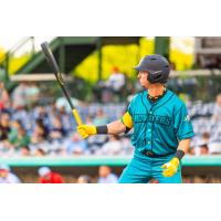 Mississippi Mud Monsters at bat