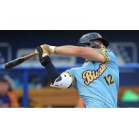 Montgomery Biscuits' Tatem Levins at bat