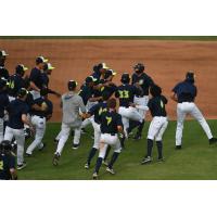 Columbia Fireflies mob Hyungchan Um